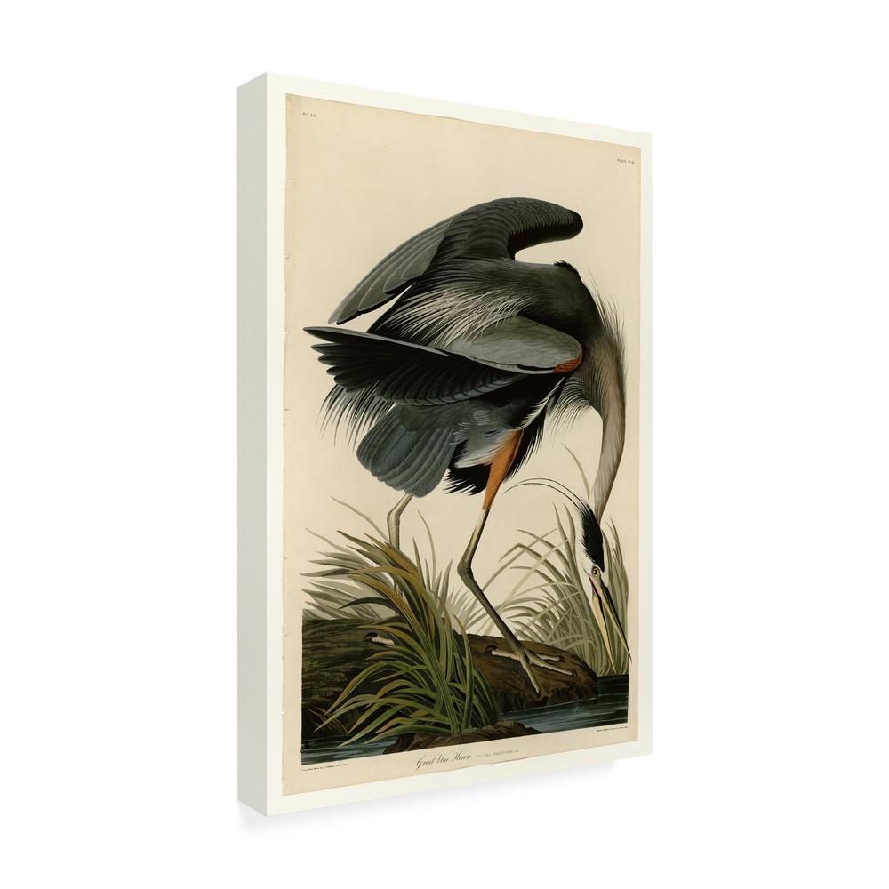 Trademark Fine Art 14 In X 19 In Great Blue Heron By John James Audubon Wall Art Bl01276 C1219gg The Home Depot