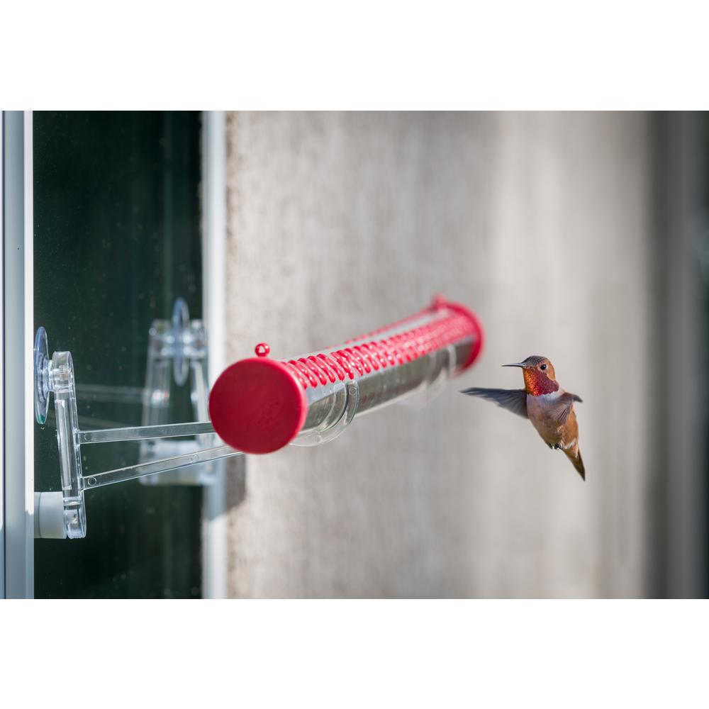 Perky Pet Window Mounting Brackets For Hummingbird Feeders 8203