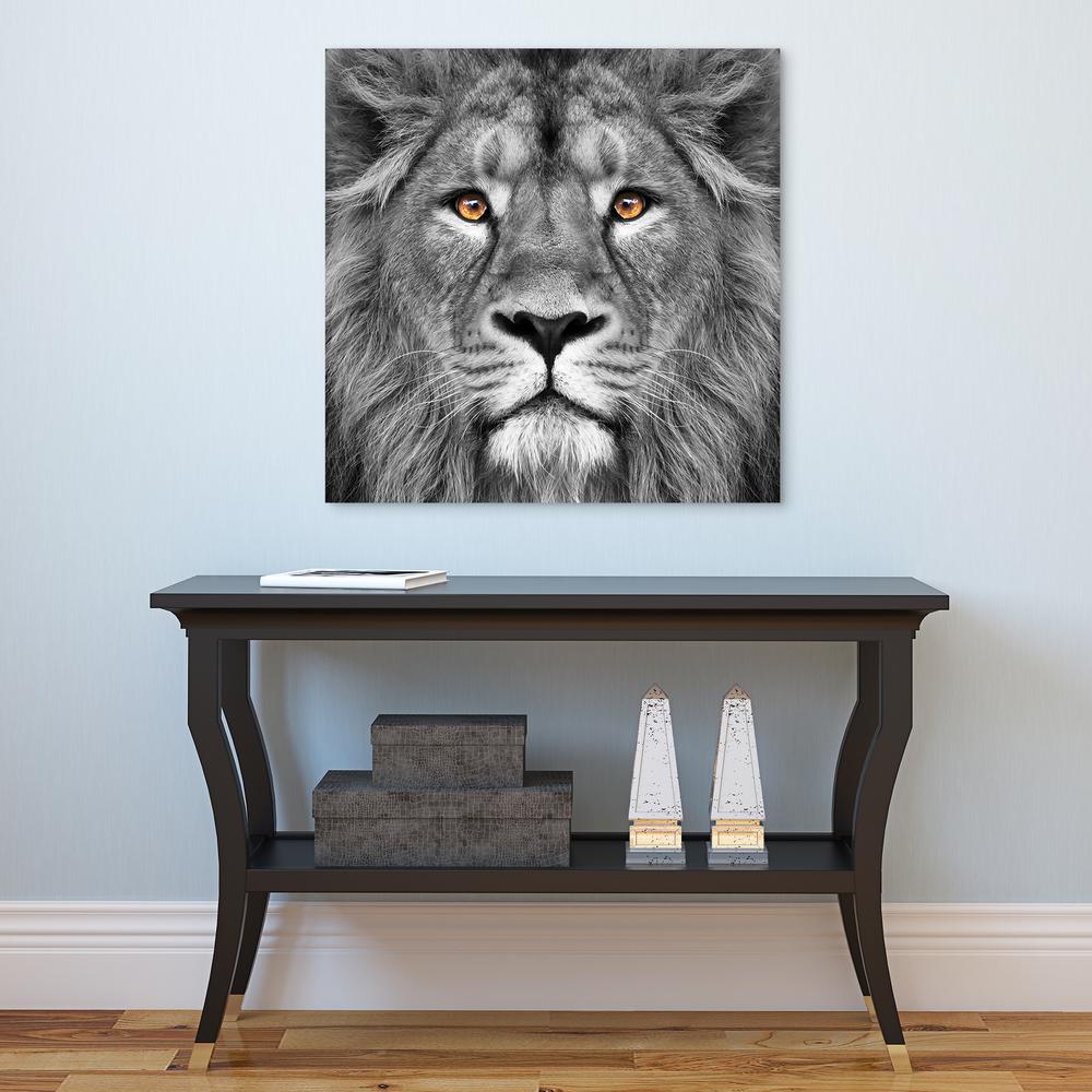 38 In X 38 In King Of The Jungle Lion Frameless Free Floating Tempered Glass Panel Graphic Art Tmp 38 The Home Depot