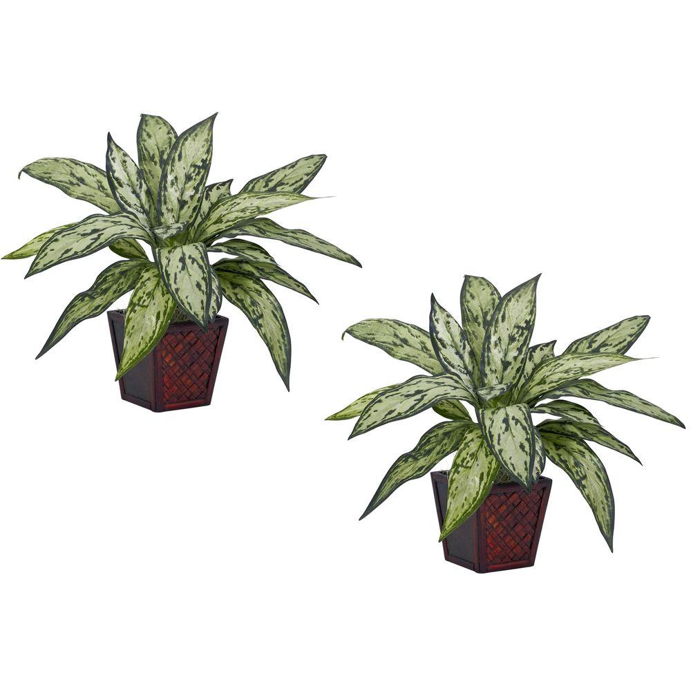 Faux Silver Queen Plant in Decorative Planter | Silver Queen Plant
Faux Silver Queen Plant in Decorative Planter | Silver Queen Plant