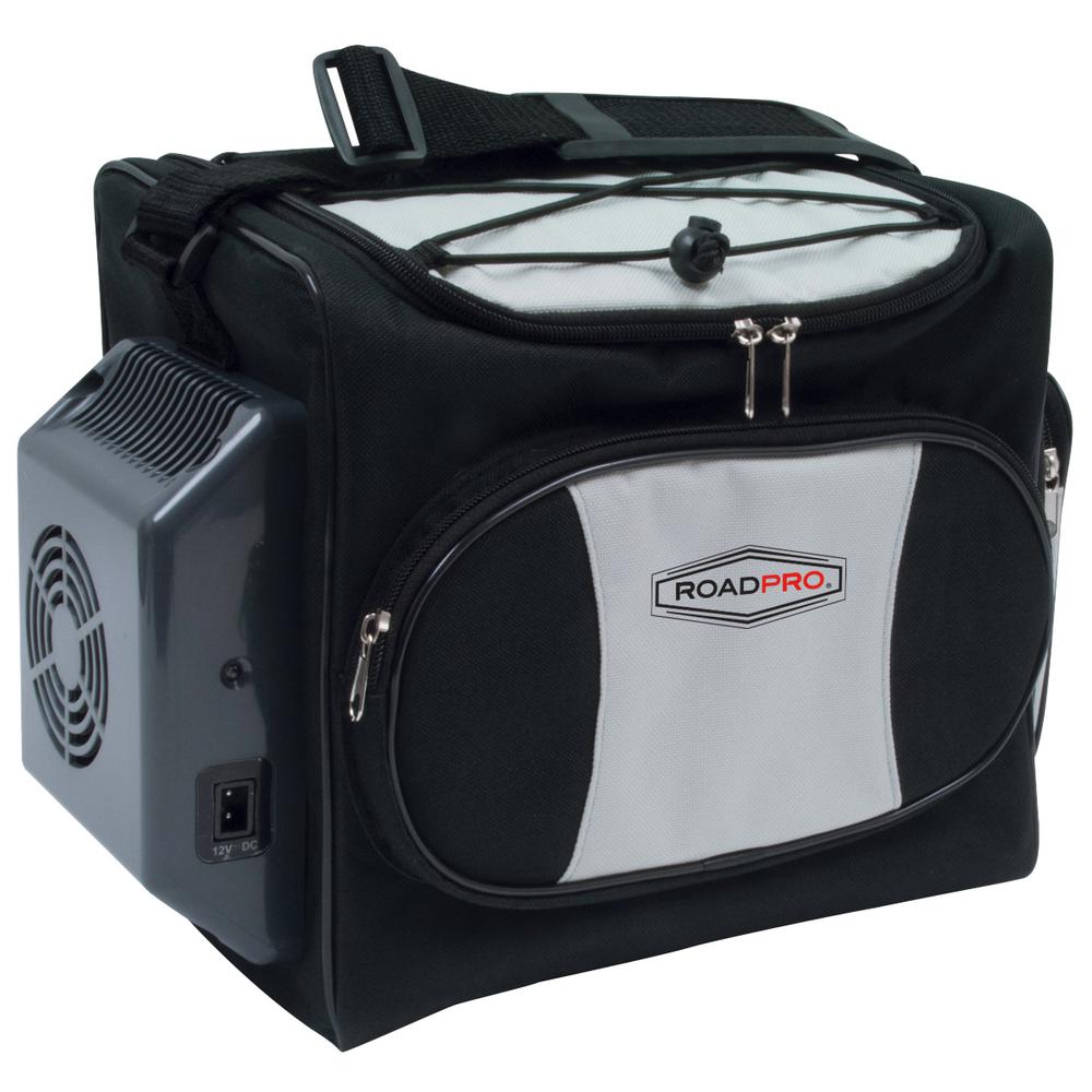 thermoelectric cooler bag