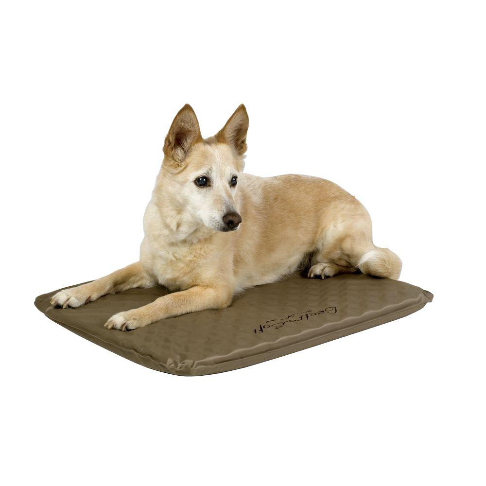 heated dog beds for outdoor use