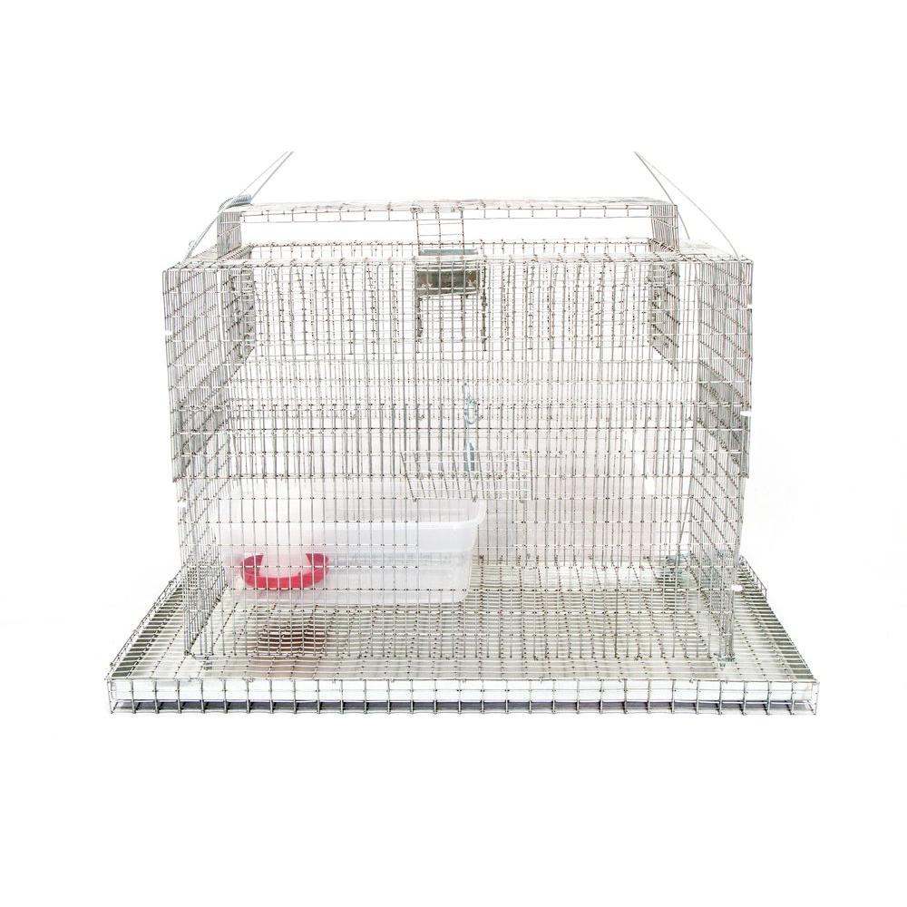 Bird B Gone Sparrow Sky Trap by Bird B Gone