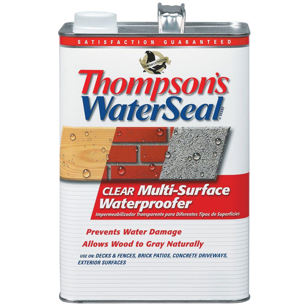 Thompson's WaterSeal 1 gal. Clear MultiSurface