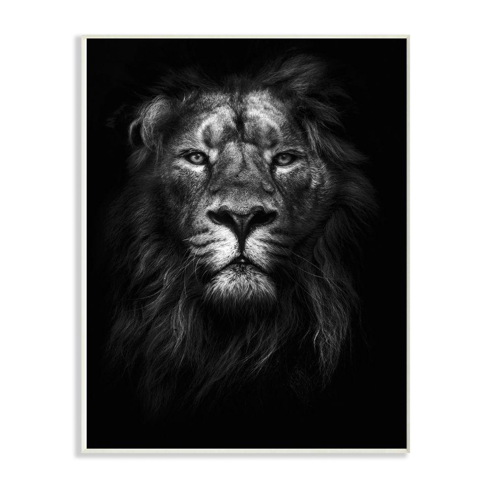 The Stupell Home Decor Collection 10 In X 15 In King Of The
