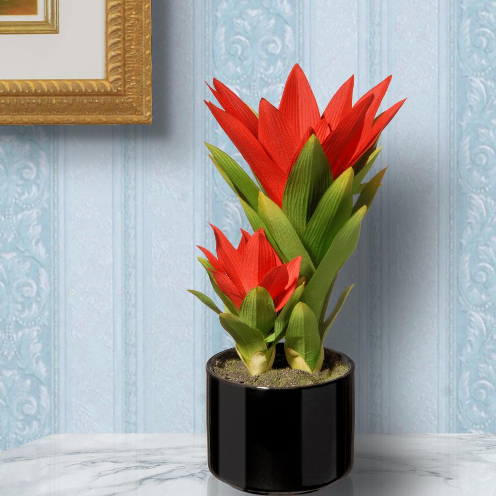 National Tree Company Potted Bromeliad Plant by National Tree Company