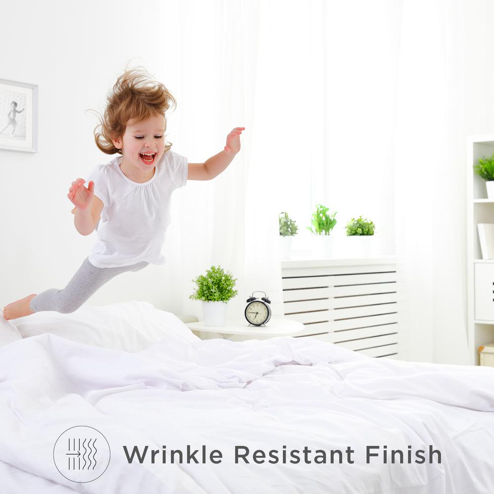 Wrinkle-Free Woven Swiss Dots Sheets 600 Thread Count Bed Sheets Set
