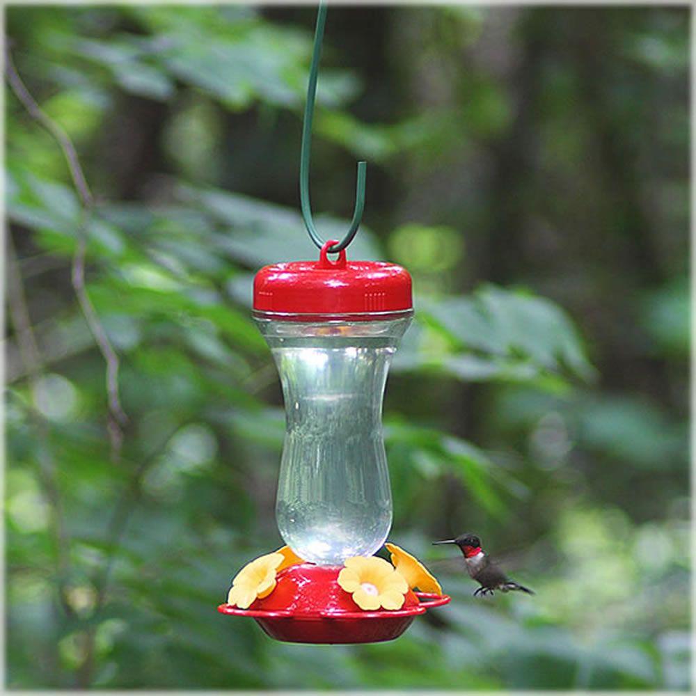 Perky Pet Petunia Glass Top-Fill Hummingbird Feeder 16 oz. Glass Container 78978511057 | eBay