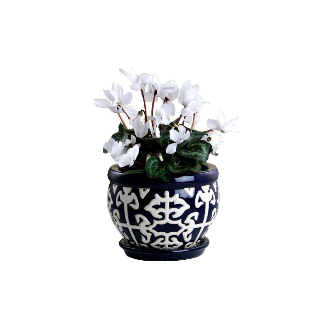 Paddock Home Garden 7 5 In Small Navy Blue Nantucket Grid Ceramic Planter 521412 The Home Depot