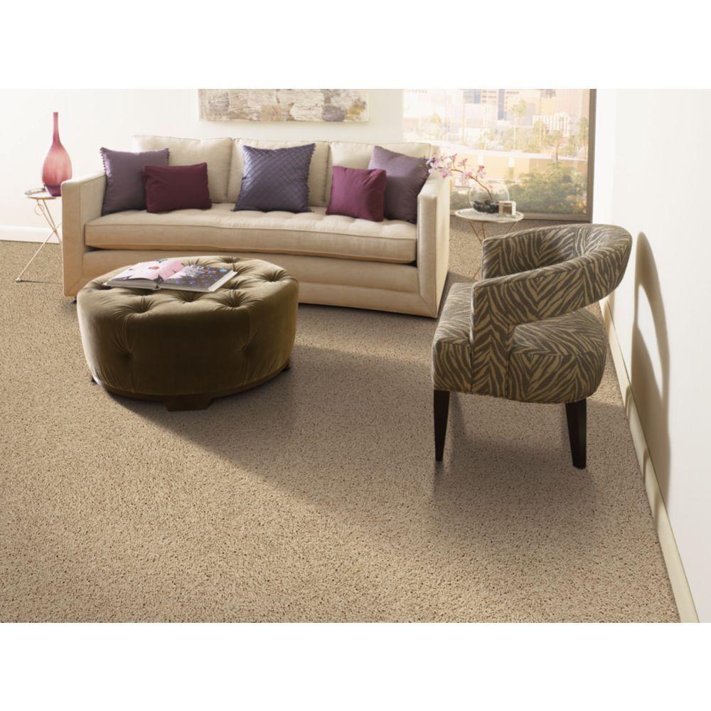 Neutral Carpet Colors For Living Room Carpet Vidalondon