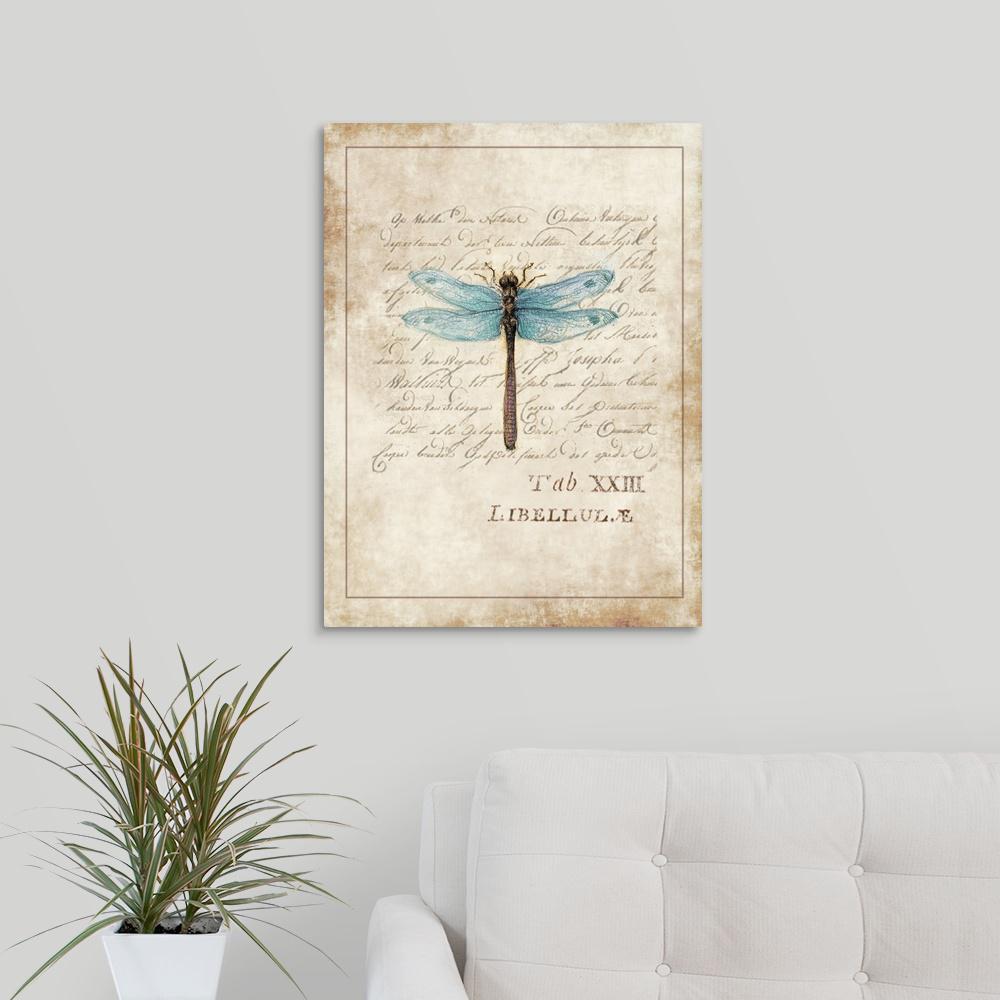 Dragonfly Study By Susan Winget Canvas Wall Art