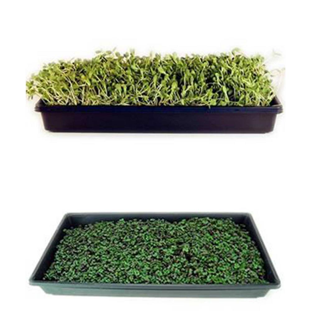 Handy Pantry Deluxe Microgreens Growing Kit 17446 The Home Depot