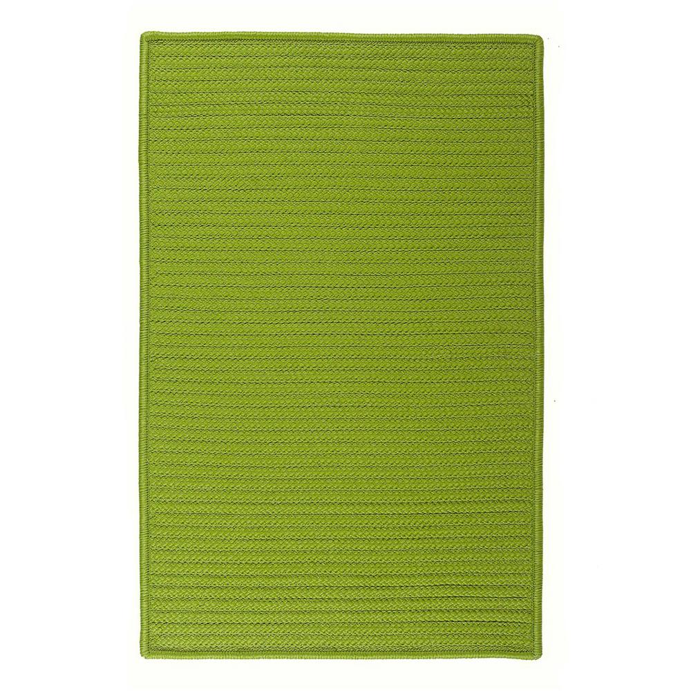 Home Decorators Collection Kenilworth Celery 2 ft. x 3 ft. Area Rug
