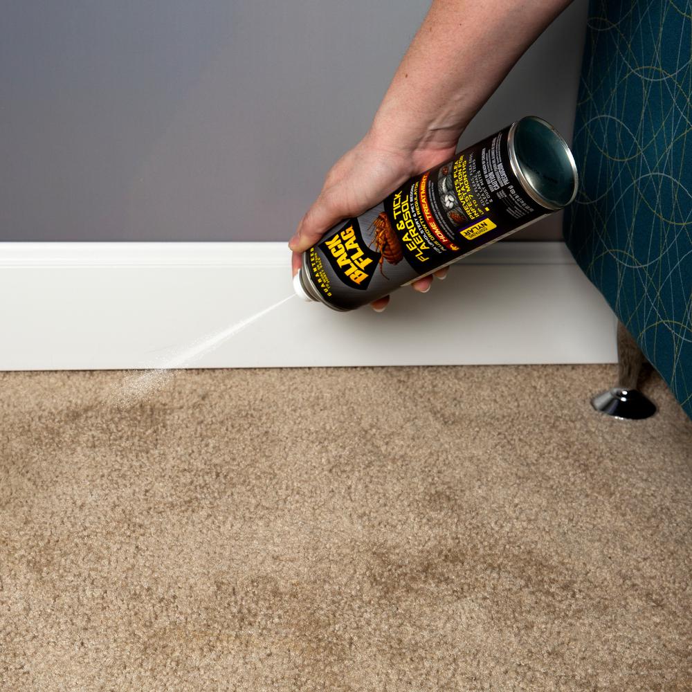 black flag flea killer