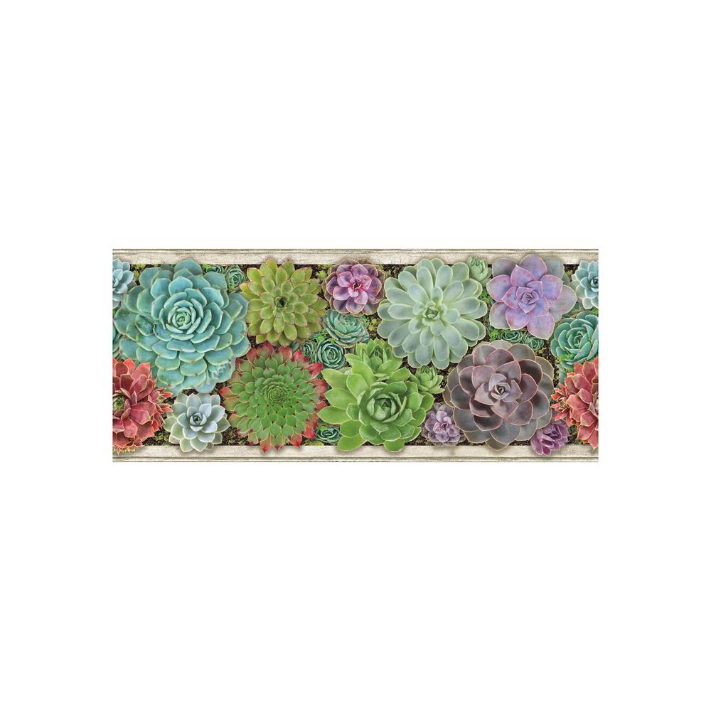 York Wallcoverings Border Portfolio II Container Garden BorderBP8130BD