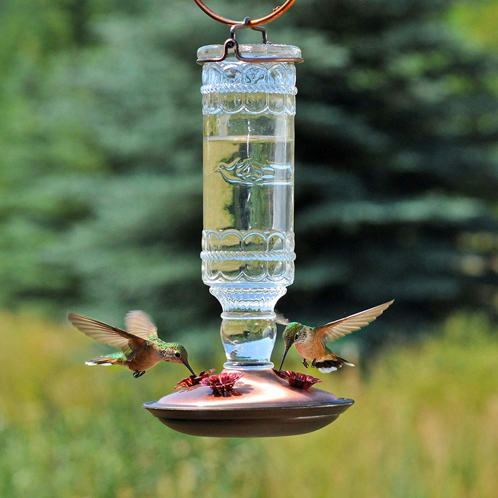 Perky Pet Clear Antique Bottle Decorative Glass Hummingbird Feeder