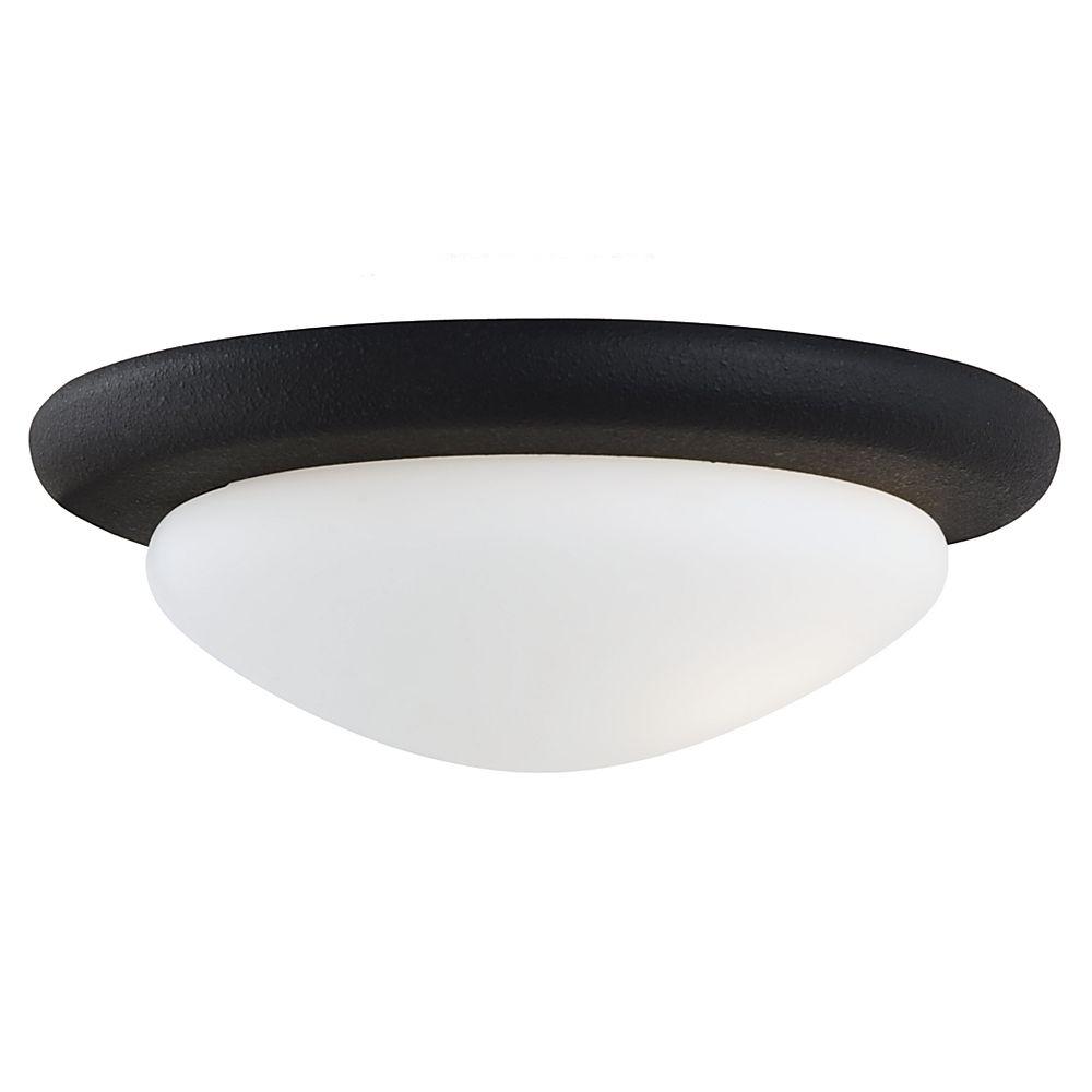 Sea Gull Lighting 1Light Blacksmith Fluorescent Ceiling Fan Light Kit