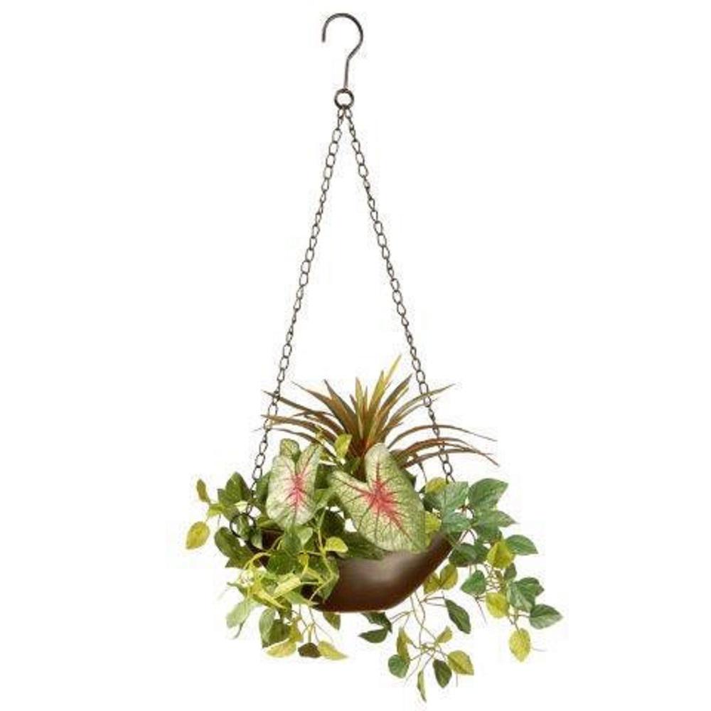 National Tree Company 9 In Orted Greens Hanging Basket Ras Orted Greens Hanging Basket