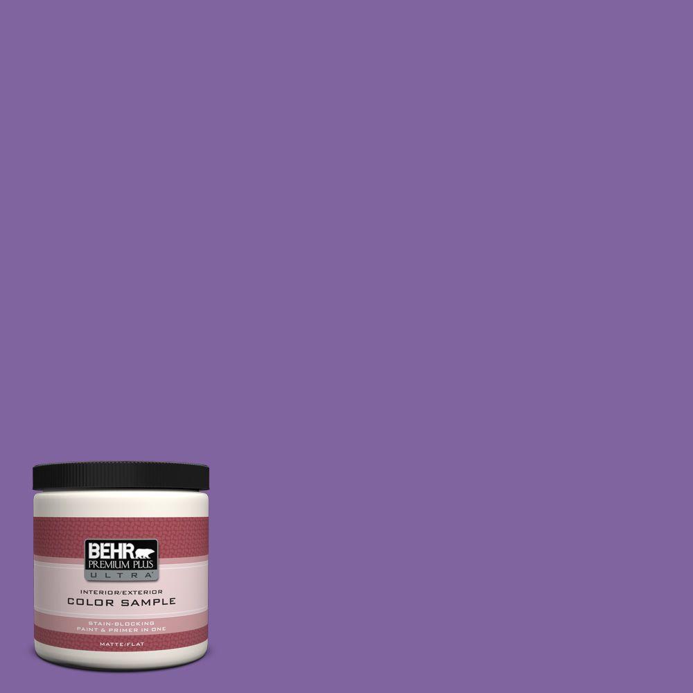 Behr Premium Plus Ultra 8 Oz Ppu16 03 Purple Paradise Matte Ppu16 03 Purple Paradise Matte Interior