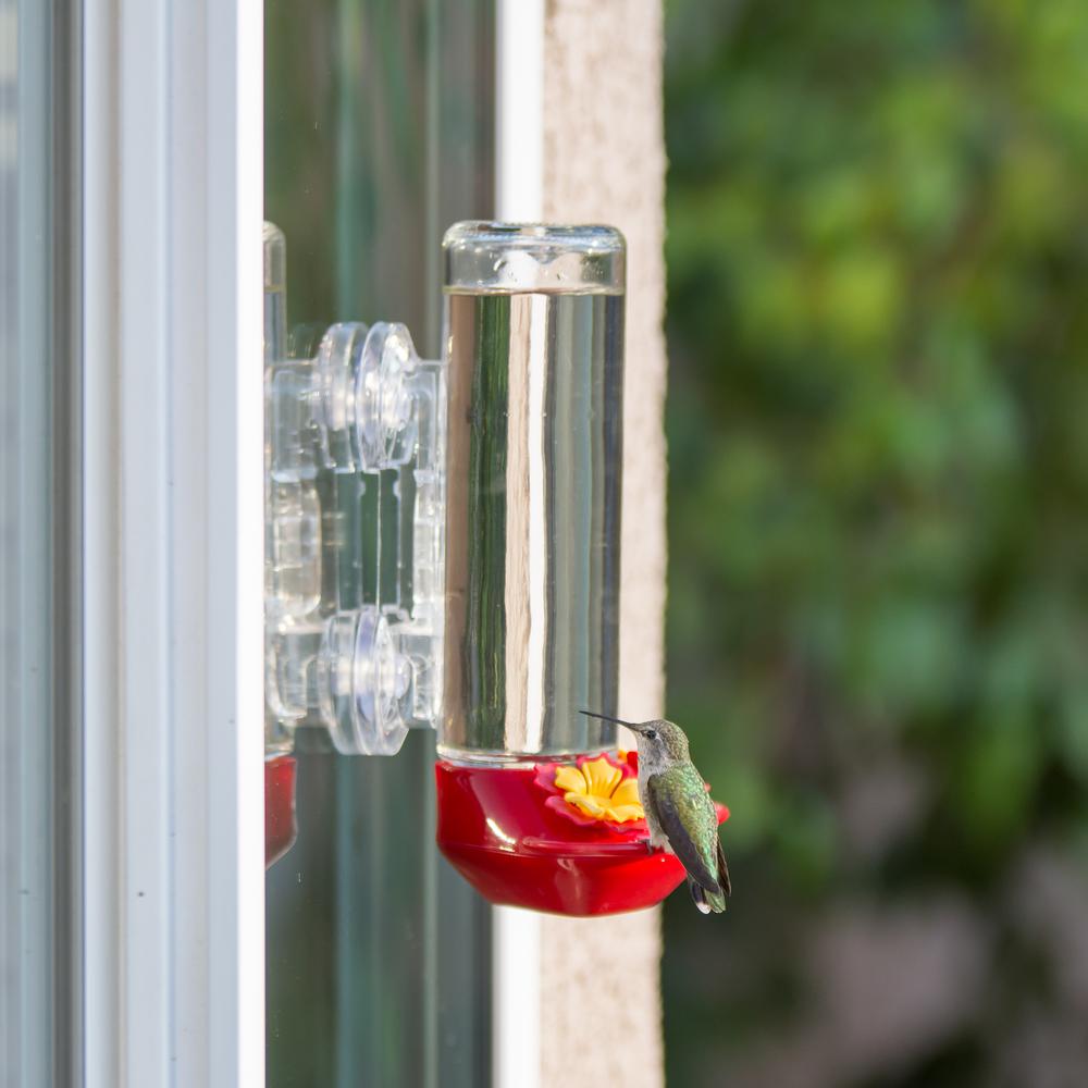 Window Mount Glass Hummingbird Feeder 14 Oz Capacity 455 2