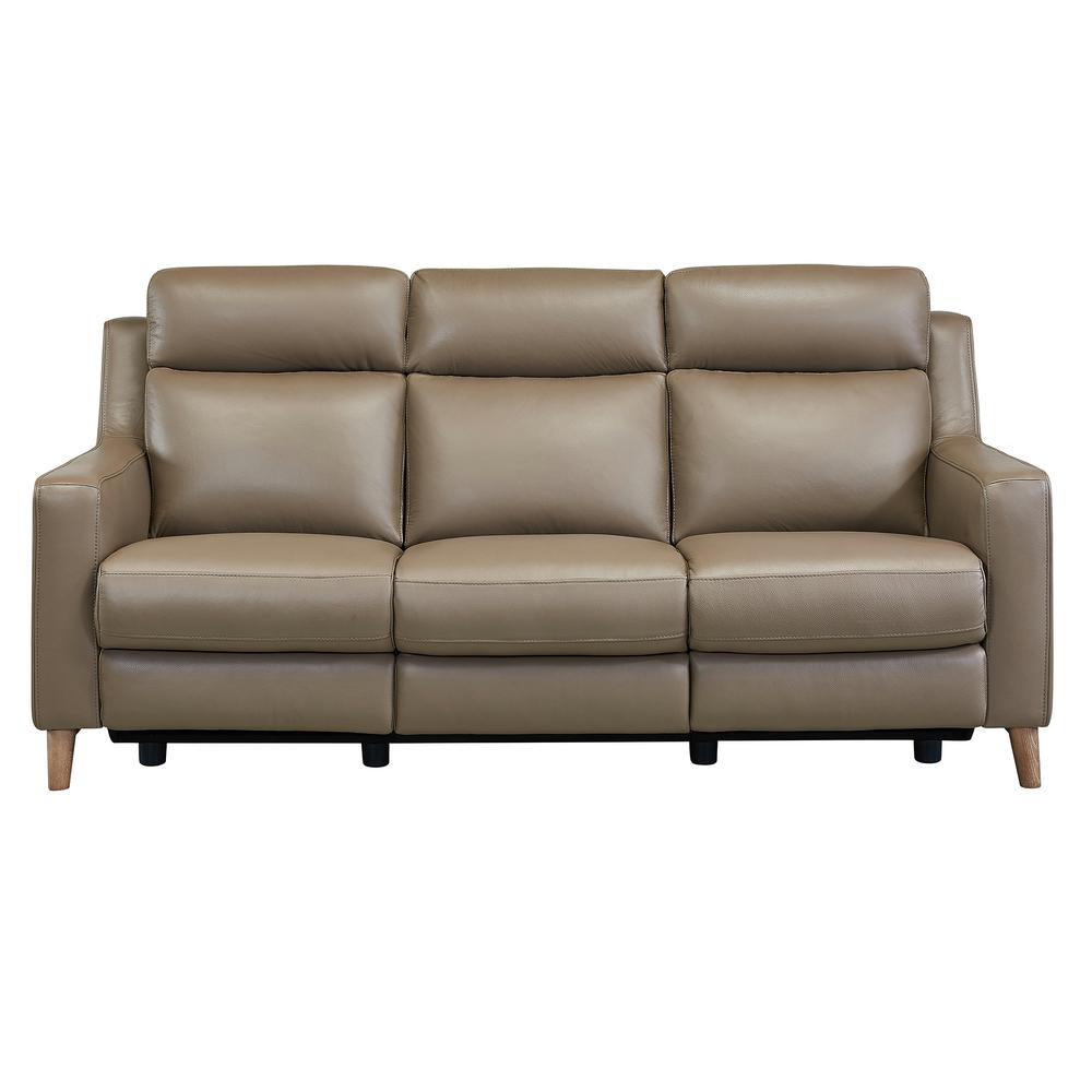 Armen Living Wisteria Contemporary Sofa In Light Brown Wood And Taupe Genuine Leather