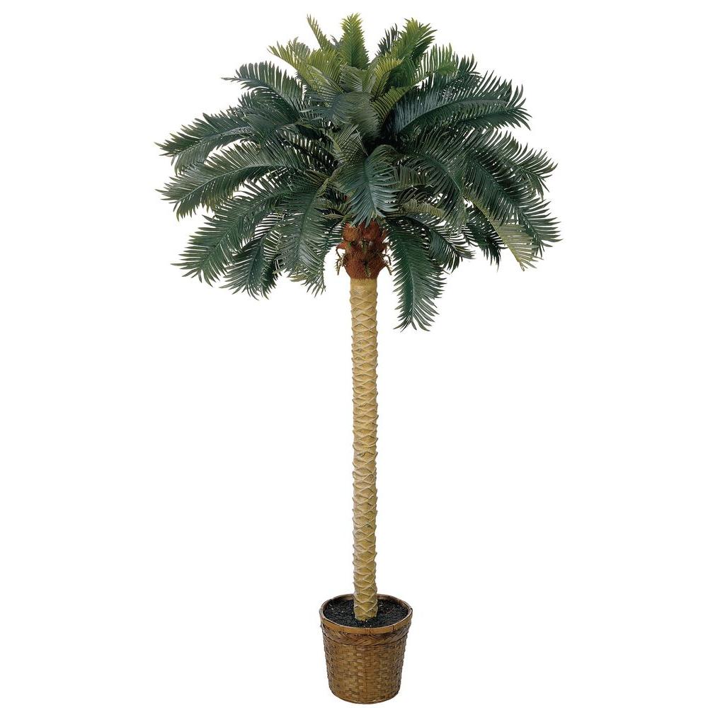 Nearly Natural 6 ft. Sago Palm Silk Tree5107 The Home Depot