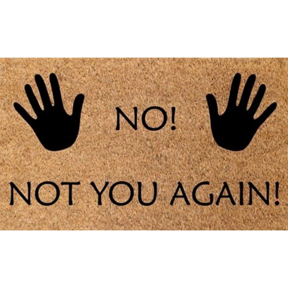 Dynamic Rugs Vale No Not You Again 18 In X 30 In Door Mat