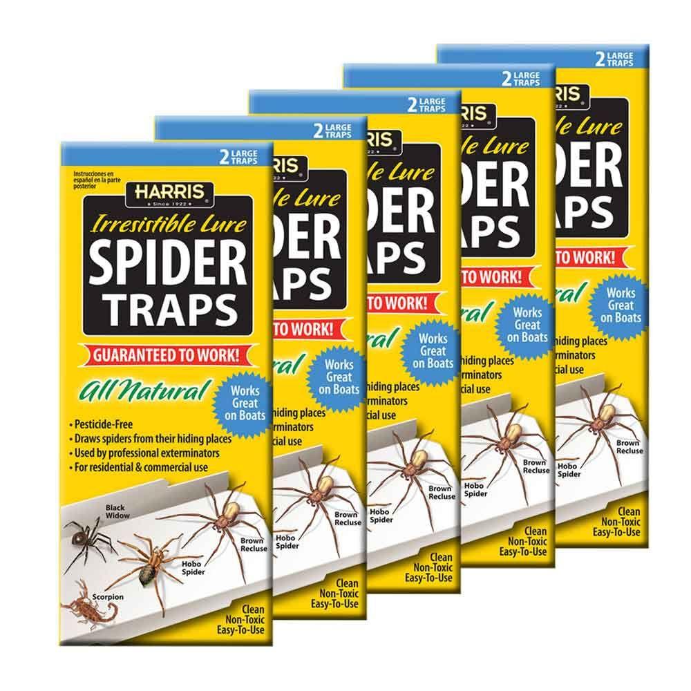 Harris Spider Trap Value Pack by Harris