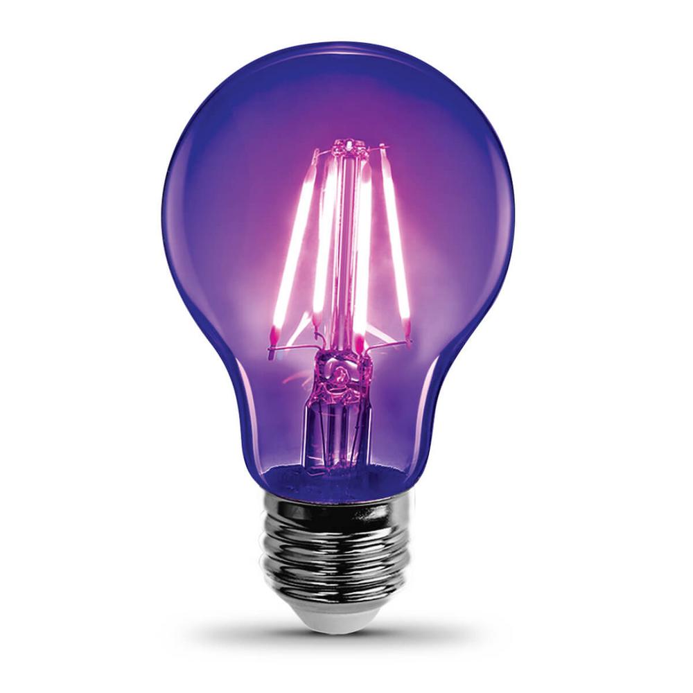 small black light bulbs