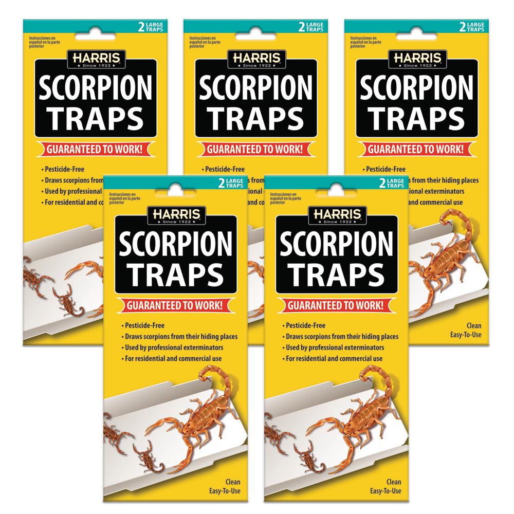 Harris 1 Gal. Scorpion Killer-100522845 - The Home Depot