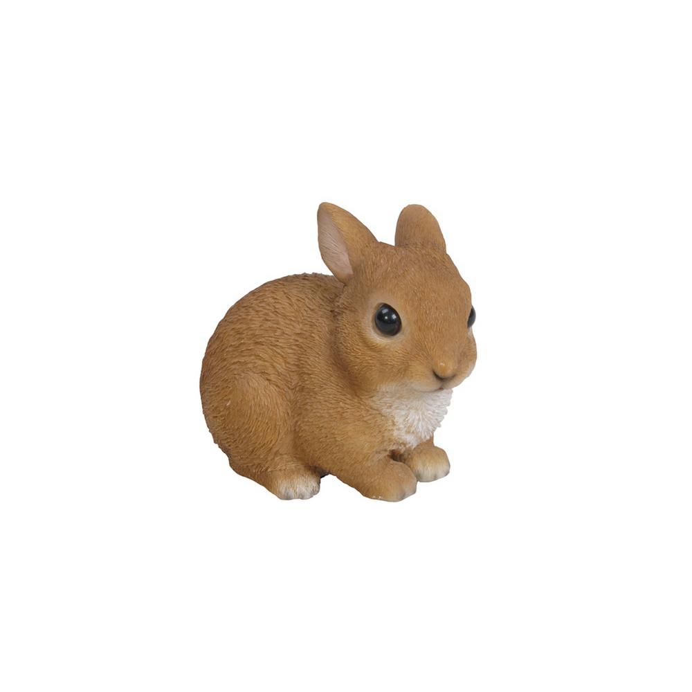 small rabbit