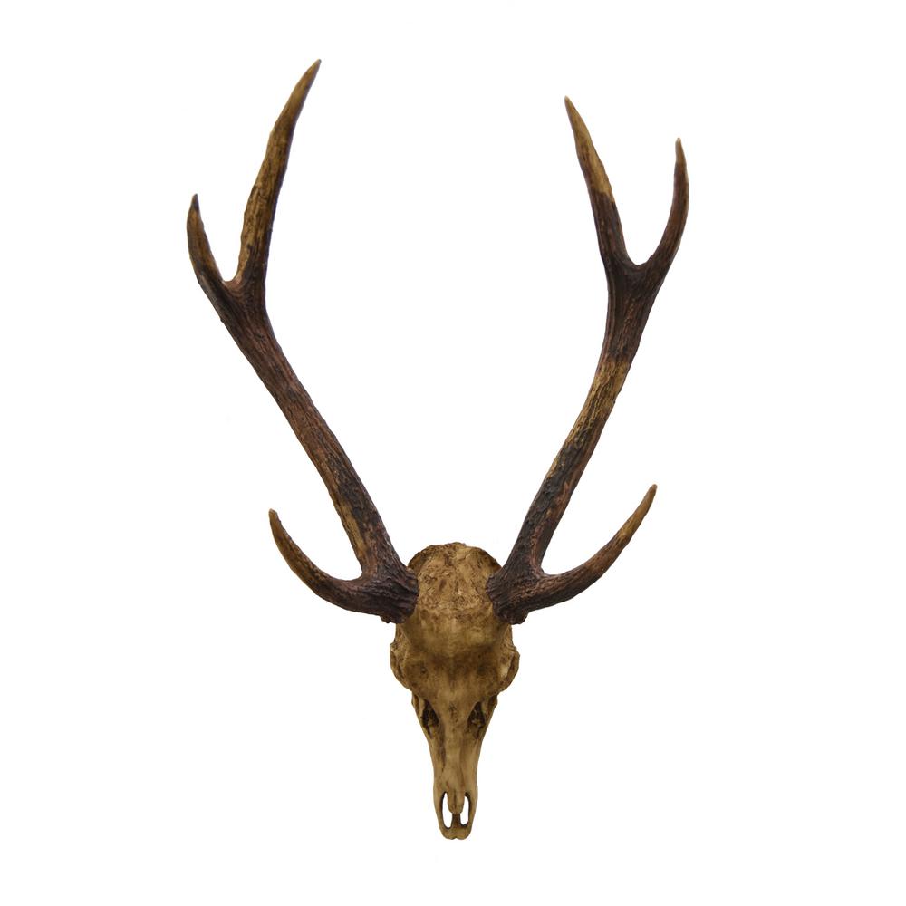 Three Hands 15 In X 11 Brown Resin Skull Wall Decor 81127 The Brown Resin Skull Wall Decor
