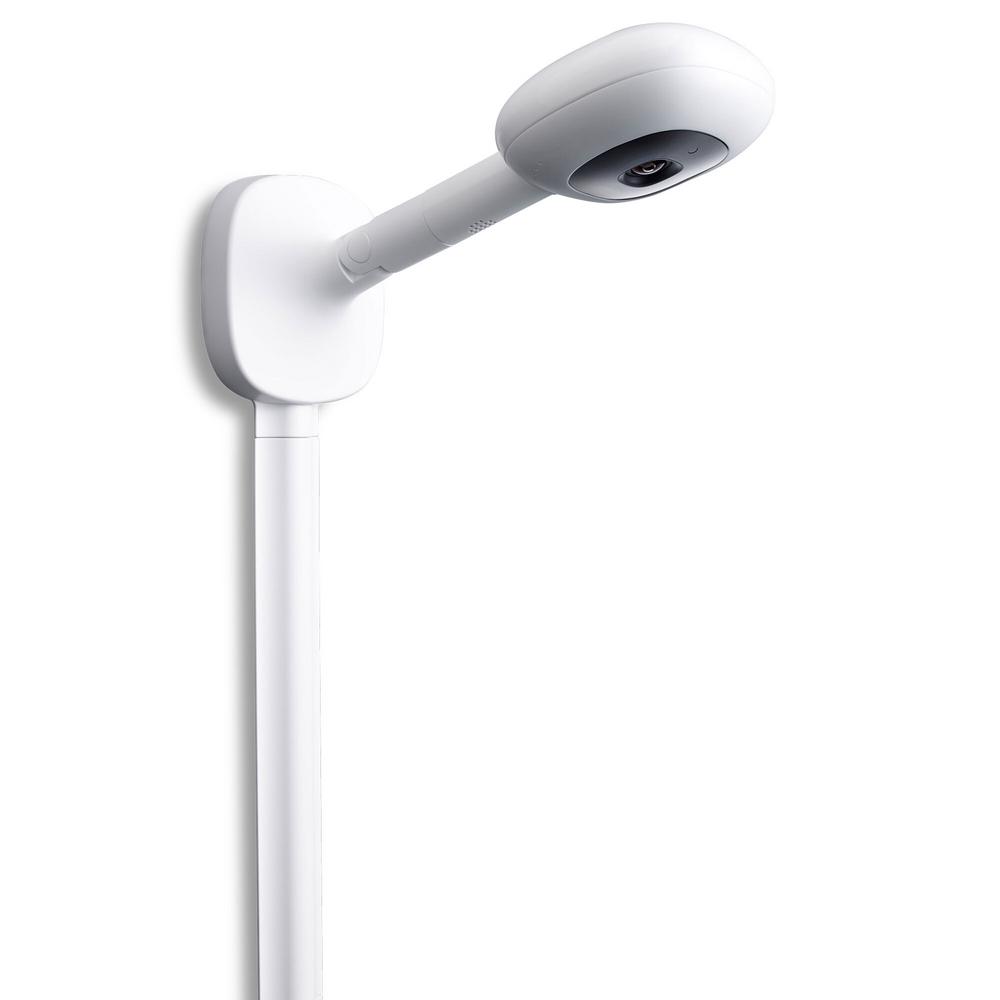 nanit plus google home