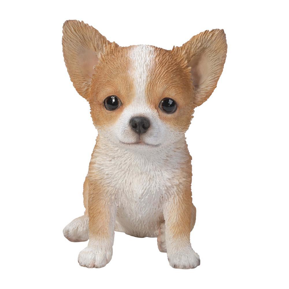 Hi Line Gift Brown White Chihuahua Puppy Statue 87771 V The Home