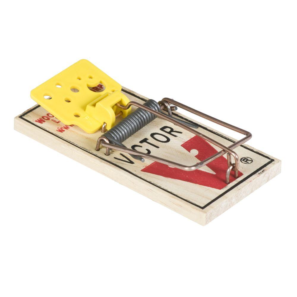 how to set a catchmaster mouse trap