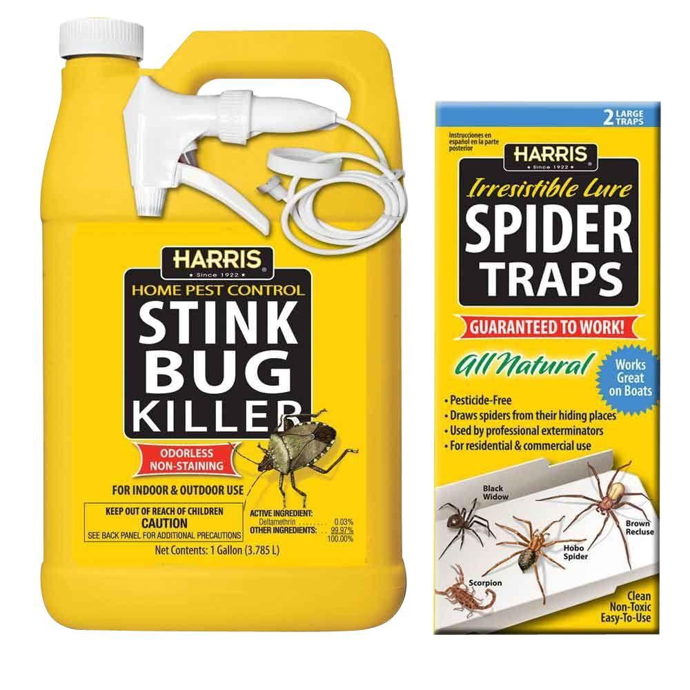 Harris 1 gal. Stink Bug Killer and Spider Trap Value Pack by Harris