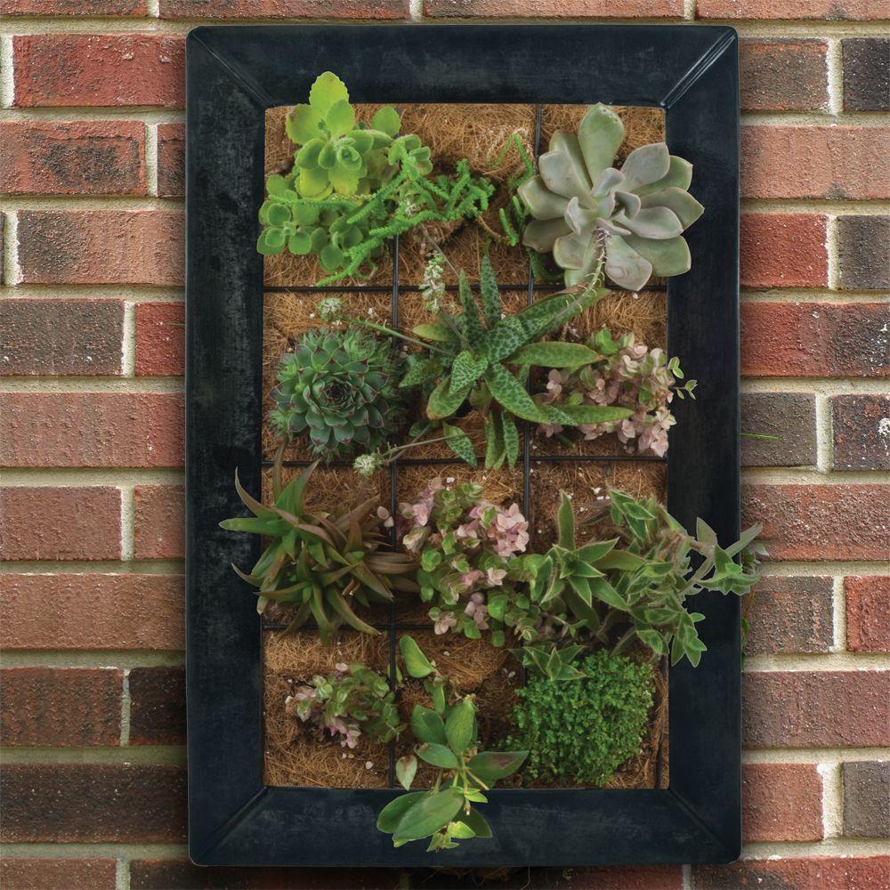 Pride Garden Products 15 In W X 23 H Live Green Aquasav Coco Vertical Wall Planter With Black Zinc Frame