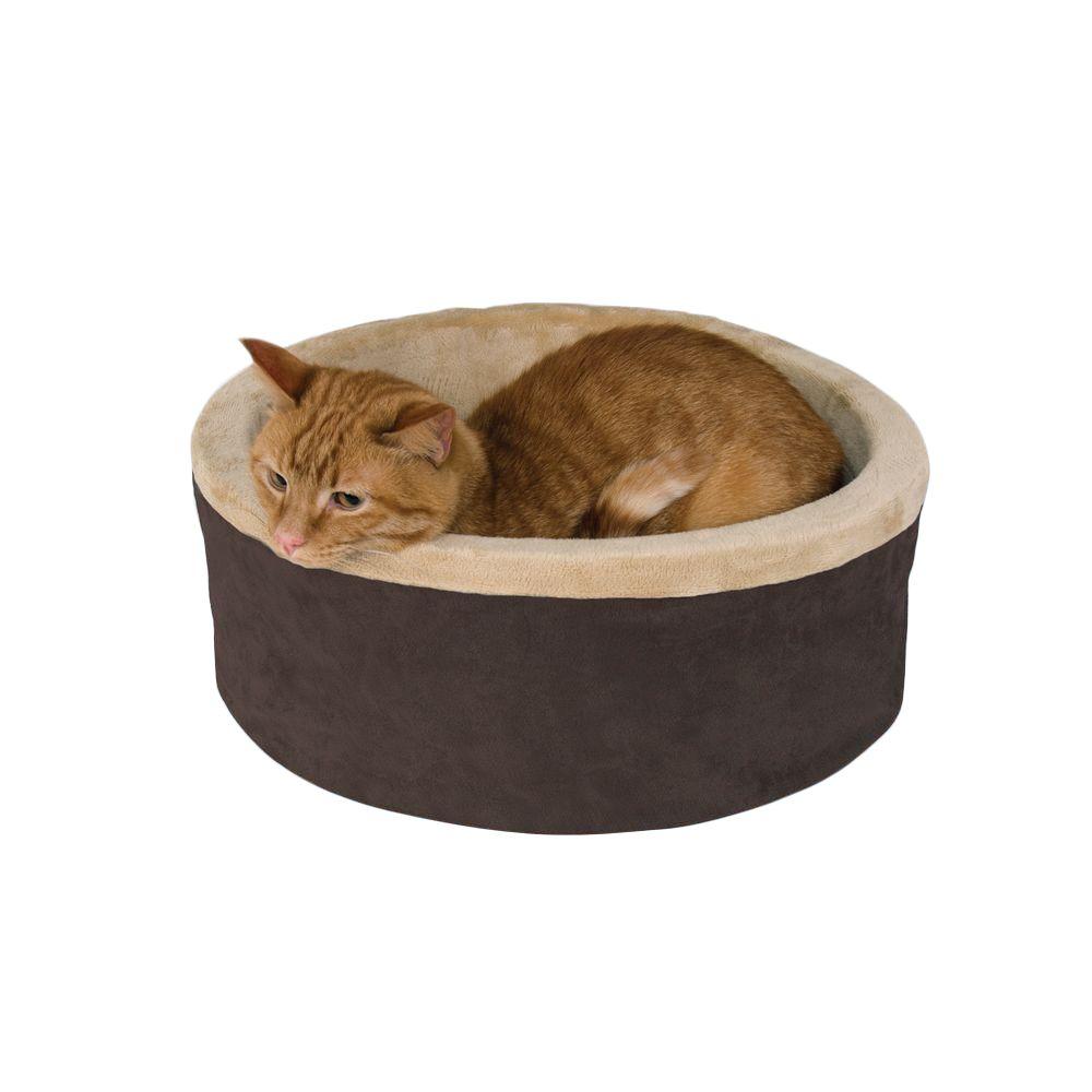 large covered cat bed