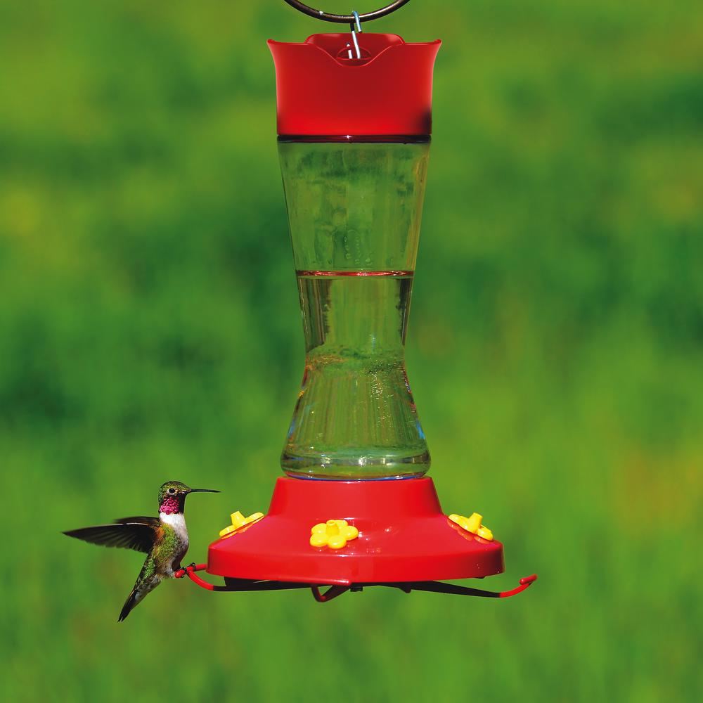 Perky Pet Pinch Waist Glass Hummingbird Feeder 16 Oz Capacity