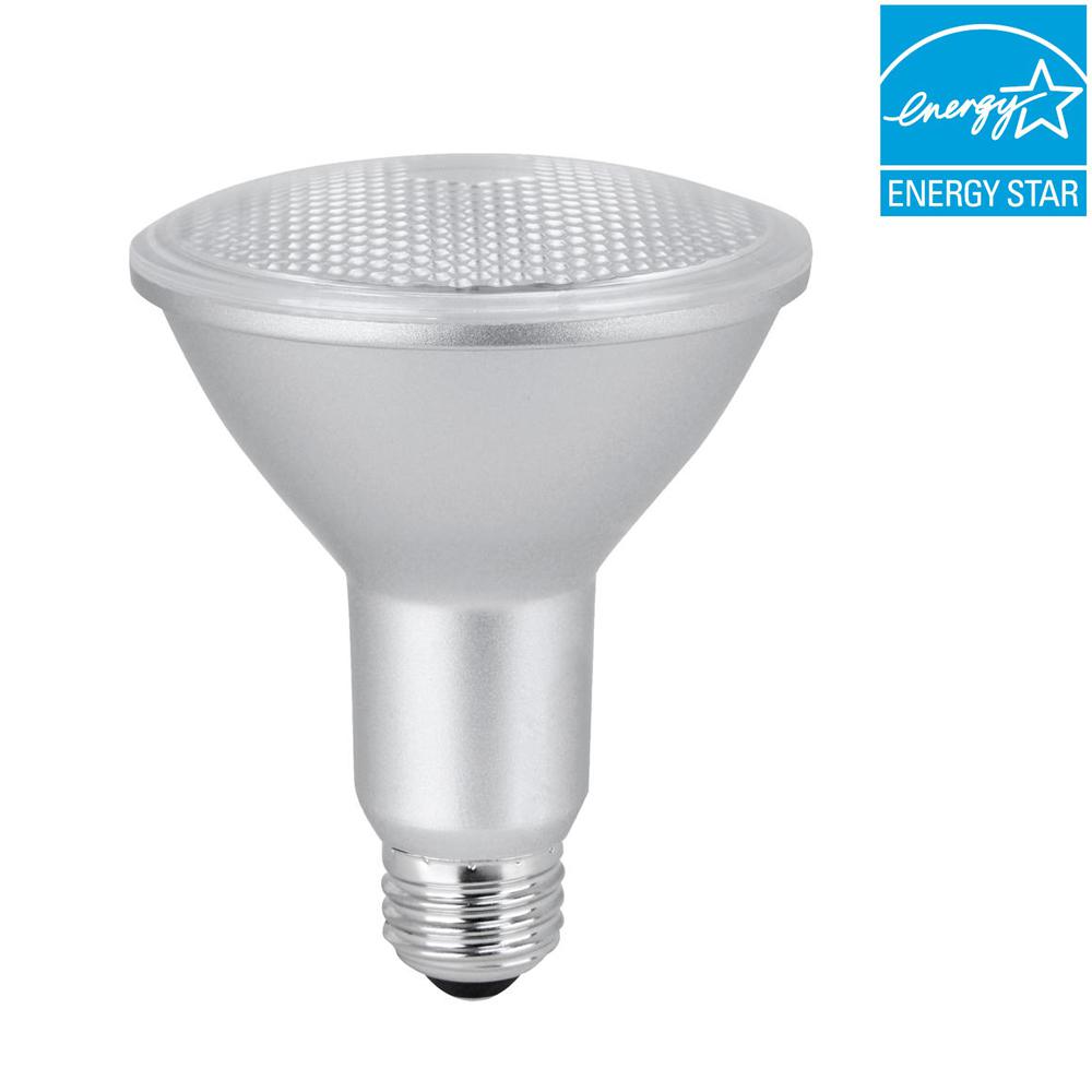 Par30l Indoor Outdoor Flood And Spot Led Bulbs Light 75w Equivalent Bright White Par30l Dimmable Cec Title 24 Compliant Led Light Bulb 1