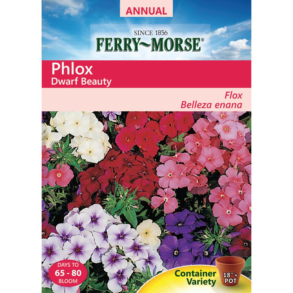 Ferry Morse Phlox Annual Dwarf Mix Seed 1119 The Home Depot Ferry Morse Phlox Annual Dwarf Mix Seed