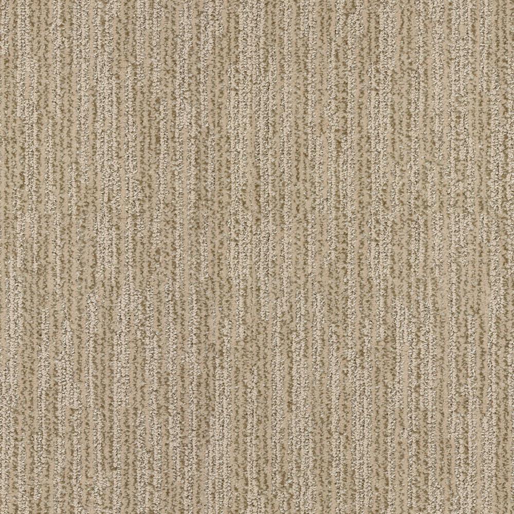  Home  Decorators  Collection  Carpet Flooring The Home  