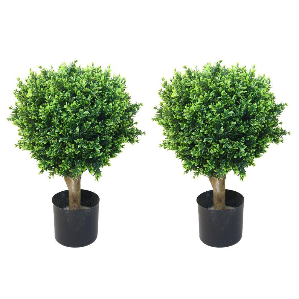 Romano 2 Ft Hedyotis Topiary Trees Pack 50 10008 R The Home Depot Hedyotis Topiary Trees 2 Pack