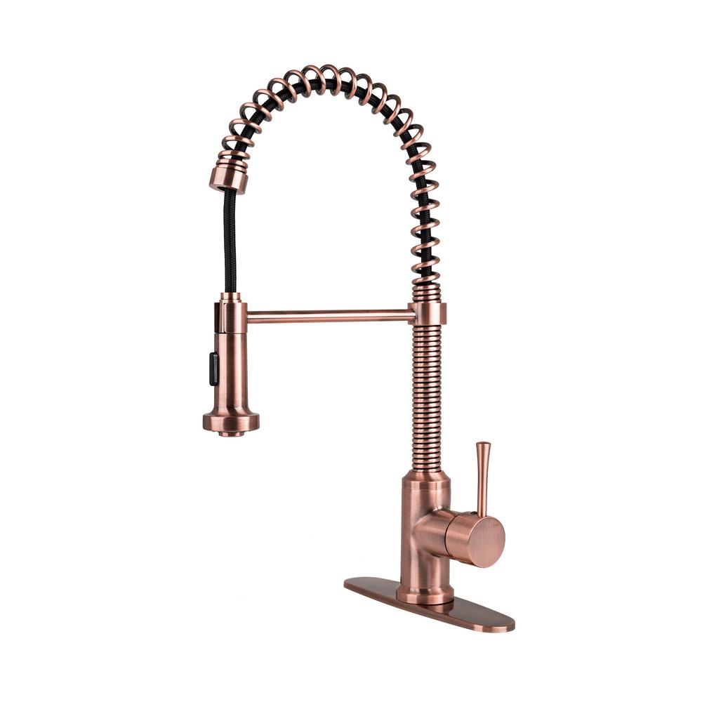 Fontaine By Italia Single Handle Pull Down Sprayer Kitchen Faucet