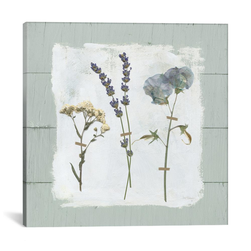 Icanvas Pressed Flowers On Shiplap Ii By Carol Robinson - 