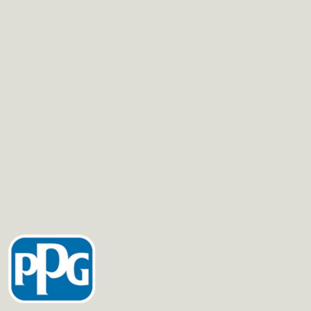 Ppg Timeless 8 Oz Hdppgwn56u Light Silver Sage Eggshell Interior Hdppgwn56u Light Silver Sage Eggshell Interior Exterior Paint Sample
