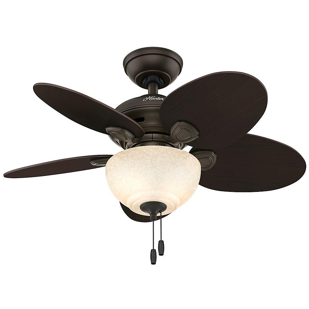 Hunter Carmen 34 In Indoor New Bronze Ceiling Fan With Light