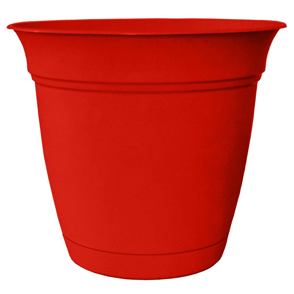 Ред пластик. Plastic Planter in BSS. Plant in a Red Pot.