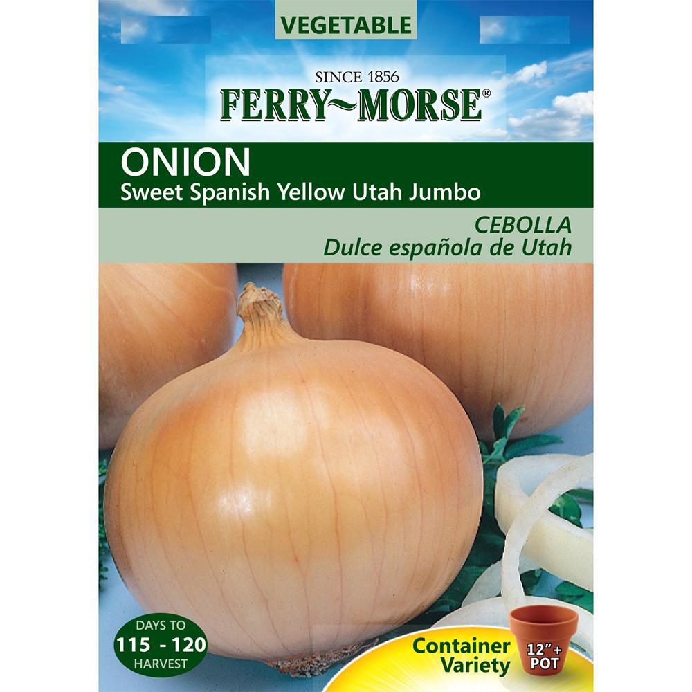 Ferry-Morse Sweet Spanish Yellow Utah Jumbo Onion Seed-2043 - The Home