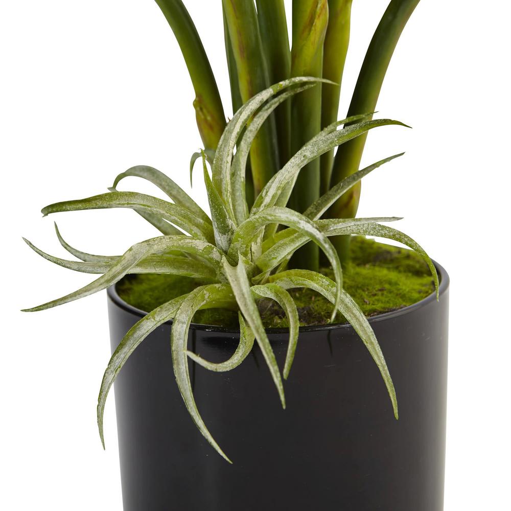 Indoor Bird Of Paradise Silk Arrangement In Black Glossy Cylinder Indoor Bird Of Paradise Silk Arrangement In Black Glossy Cylinder